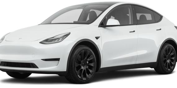 TESLA MODEL Y 2021 5YJYGDEE7MF079507 image